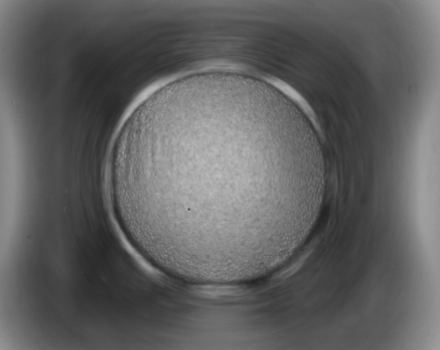 X0000085241391200703301738