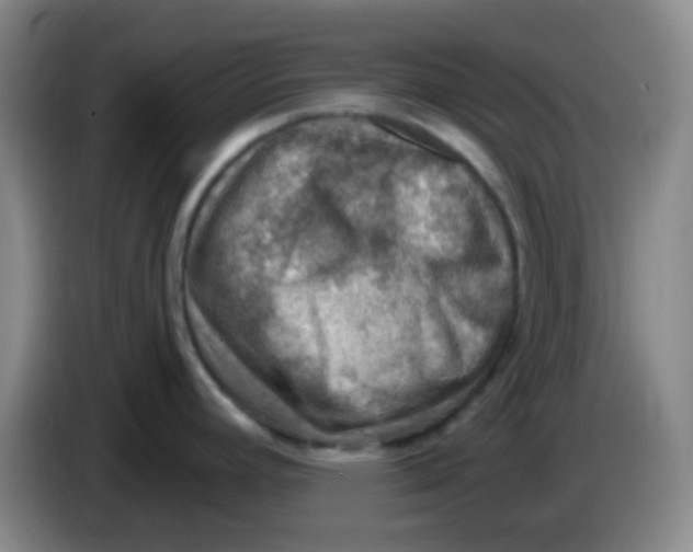 X0000085241392200703301738