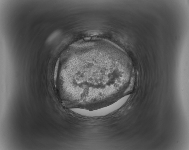 X0000085241393200703301737