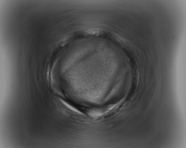 X0000085241394200703301737