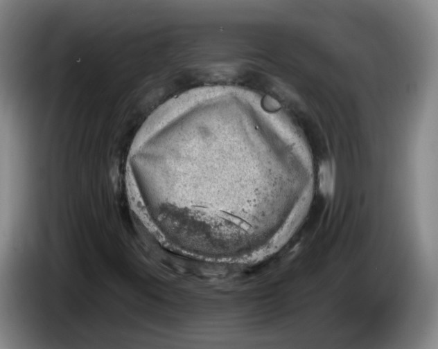 X0000085241395200703301737