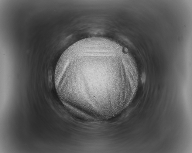 X0000085241396200703301737