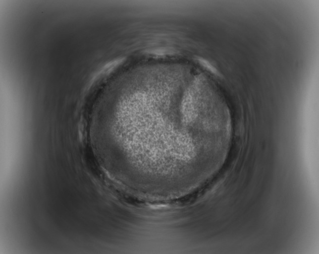 X0000085241398200703301737