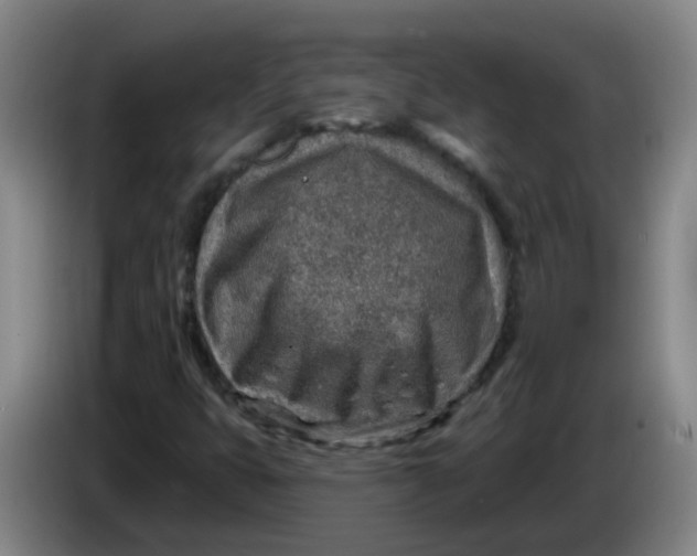 X0000085241399200703301737