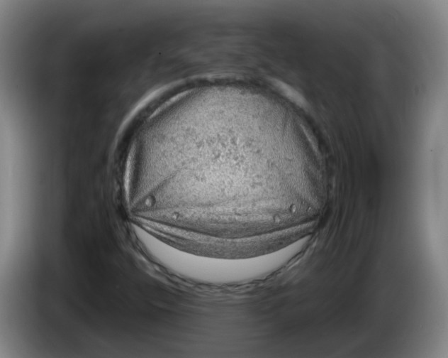 X0000085241400200703301737