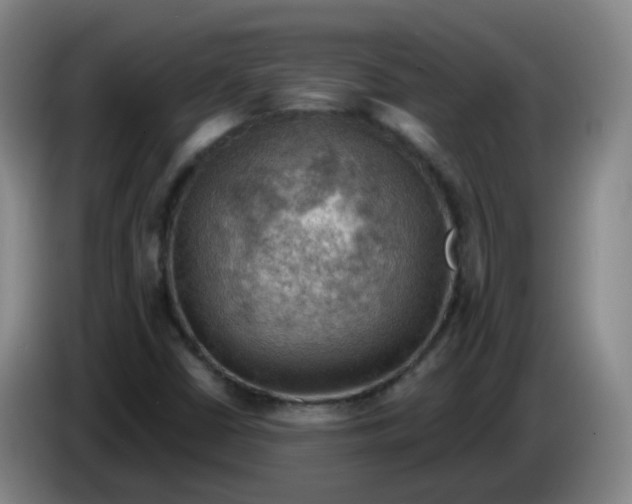 X0000085241402200703301737