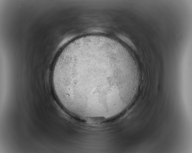 X0000085241404200703301737