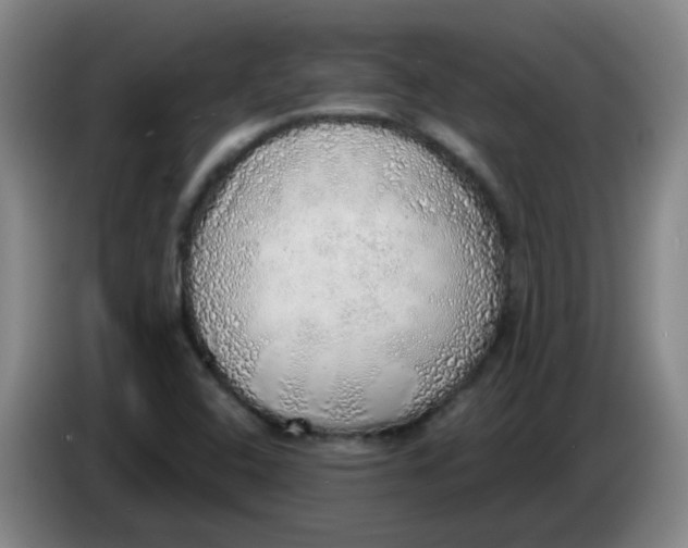 X0000085241408200703301737