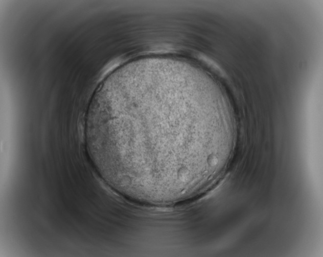 X0000085241409200703301737