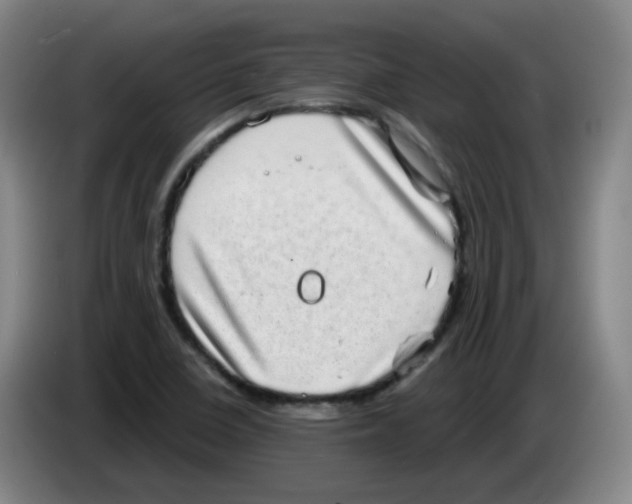 X0000085241410200703301737