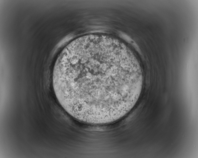 X0000085241411200703301737