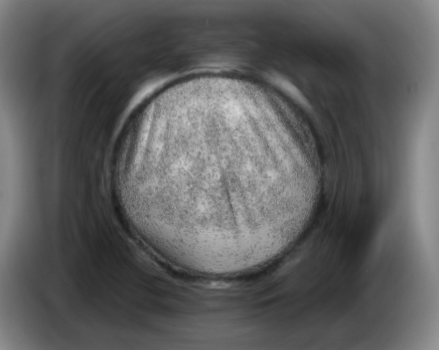 X0000085241412200703301737