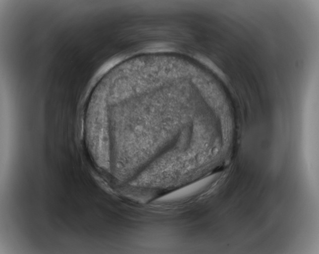 X0000085241413200703301737