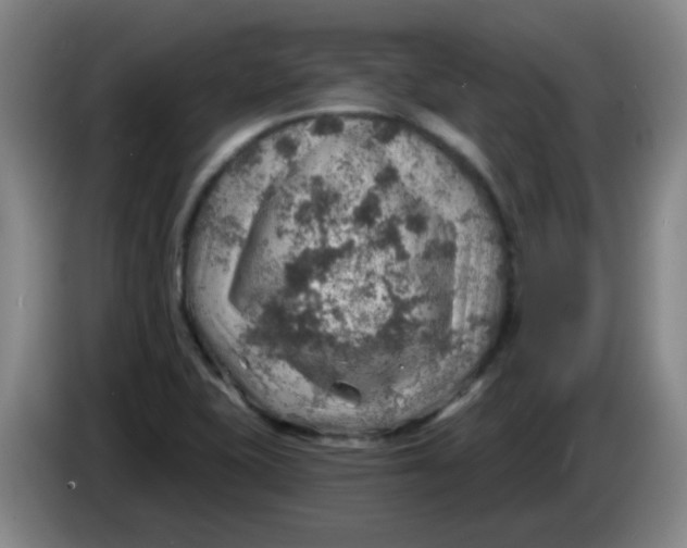 X0000085241415200703301737