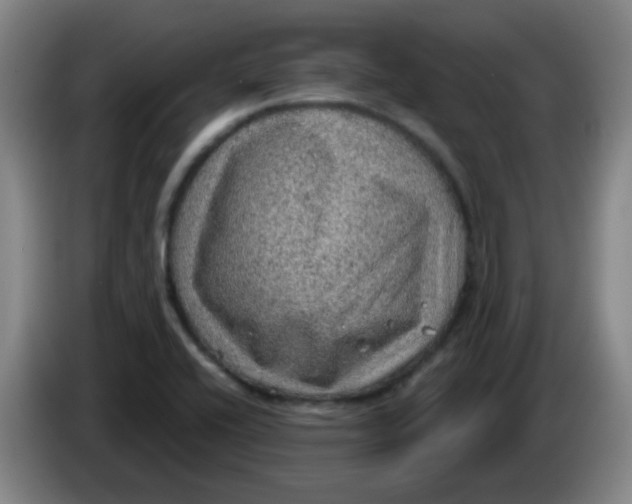 X0000085241416200703301737