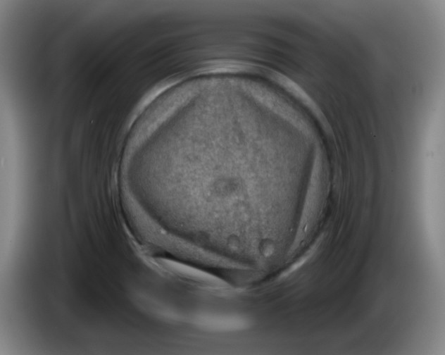 X0000085241417200703301737