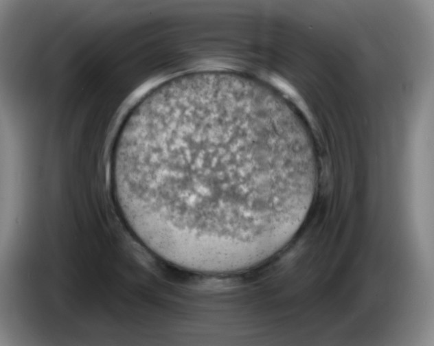 X0000085241419200703301738