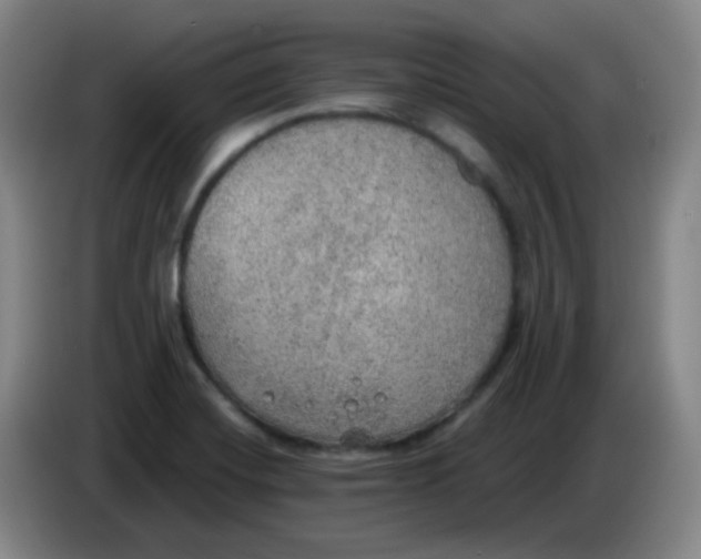 X0000085241420200703301738
