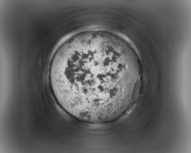 X0000085241421200703301738