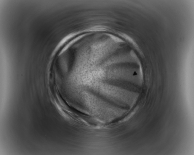 X0000085241422200703301738