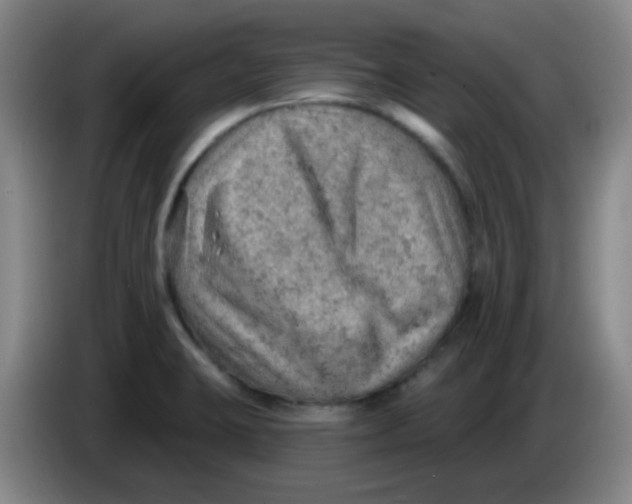 X0000085241423200703301738