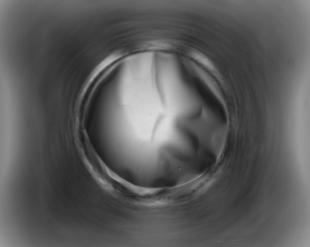 X0000085241426200703301738