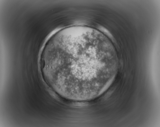 X0000085241427200703301738