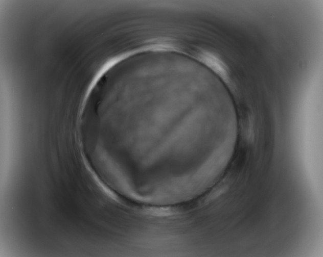 X0000085241428200703301738