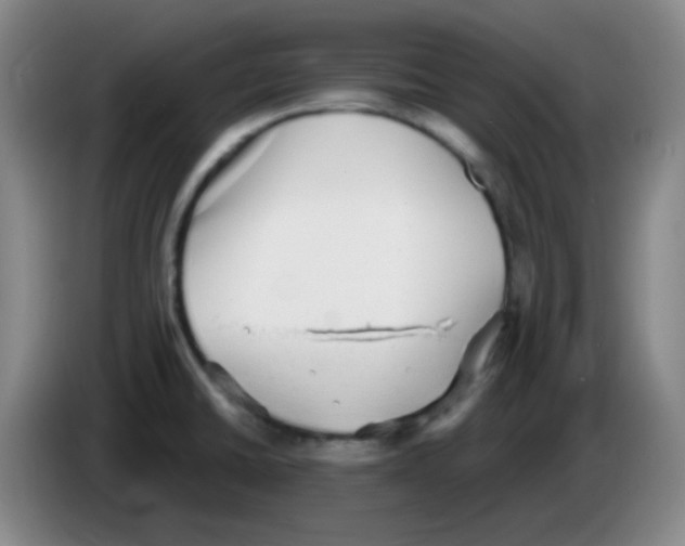 X0000085241430200703301738