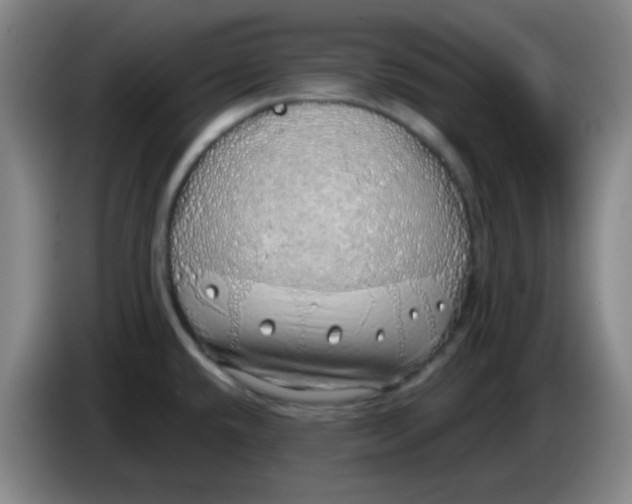 X0000085241432200703301738