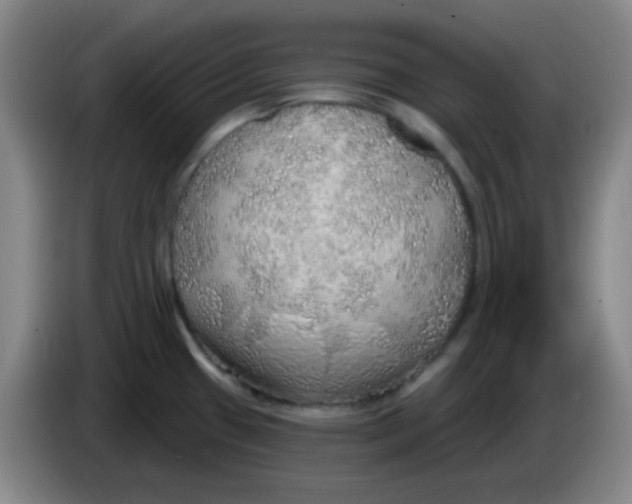 X0000085241433200703301738