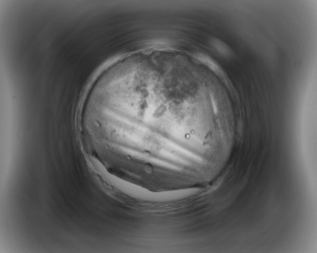 X0000085241435200703301738