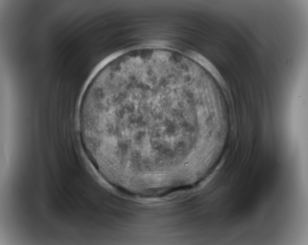 X0000085241436200703301738