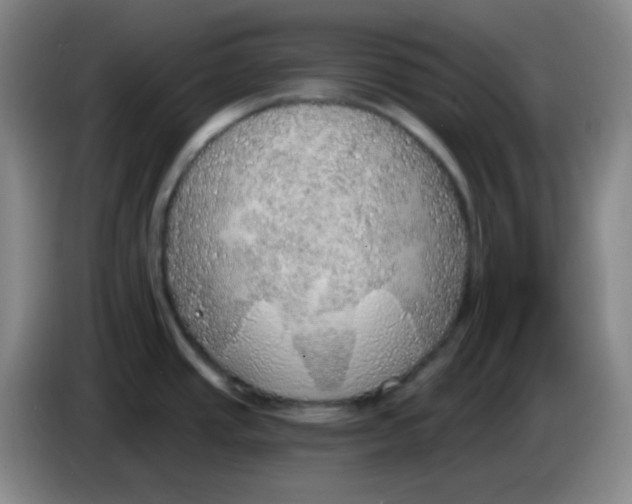 X0000085241437200703301738
