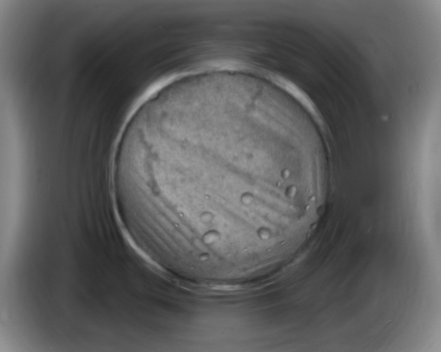 X0000085241439200703301738