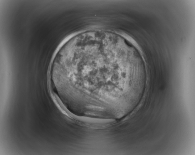 X0000085241440200703301738
