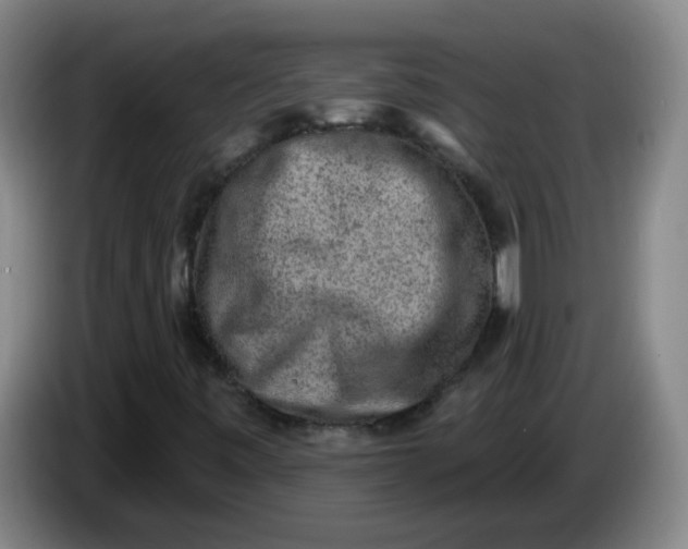 X0000085241443200703301737