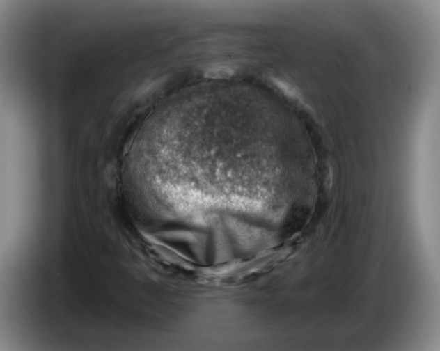 X0000085241445200703301737