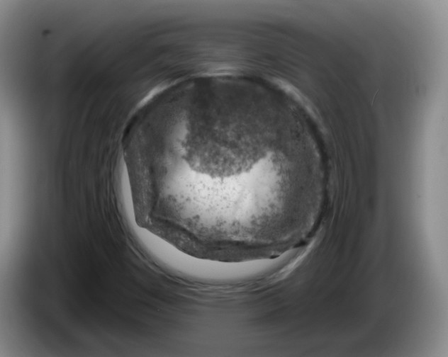 X0000085241449200703301737