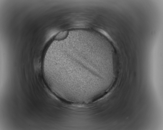 X0000085241450200703301737