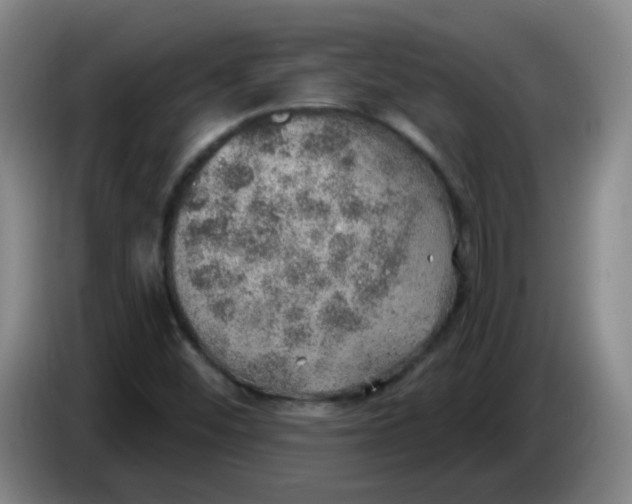 X0000085241452200703301737