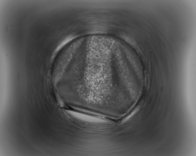 X0000085241453200703301737