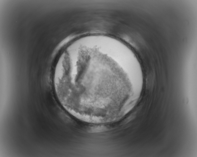 X0000085241454200703301737