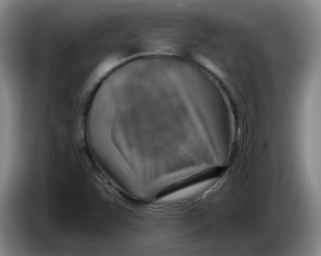 X0000085241455200703301737