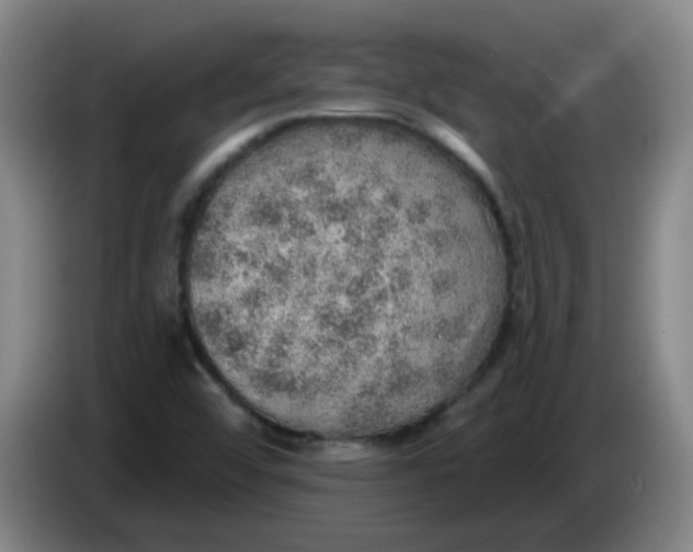X0000085241456200703301737