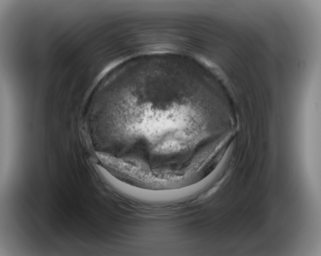 X0000085241457200703301737