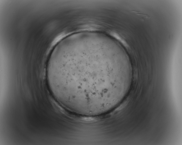 X0000085241459200703301737