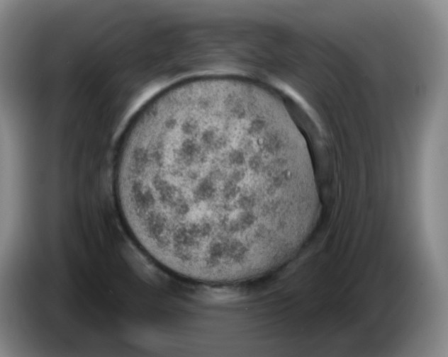 X0000085241460200703301737