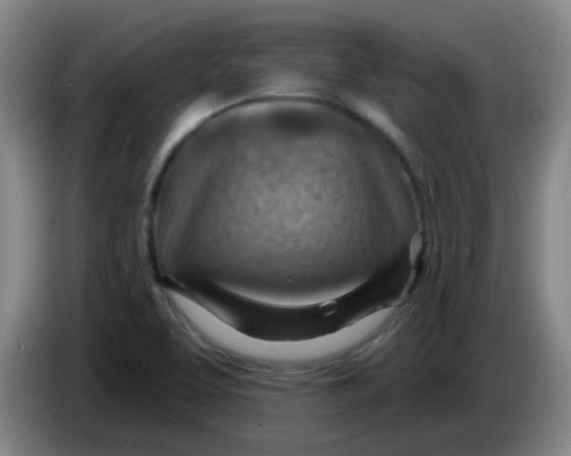 X0000085241463200703301737