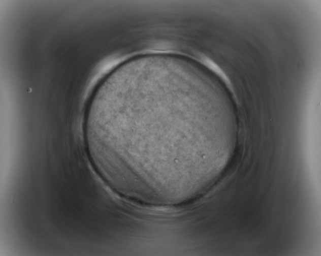 X0000085241464200703301737